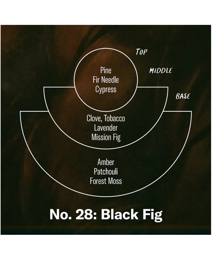 Figue noire standard - P.f candle co