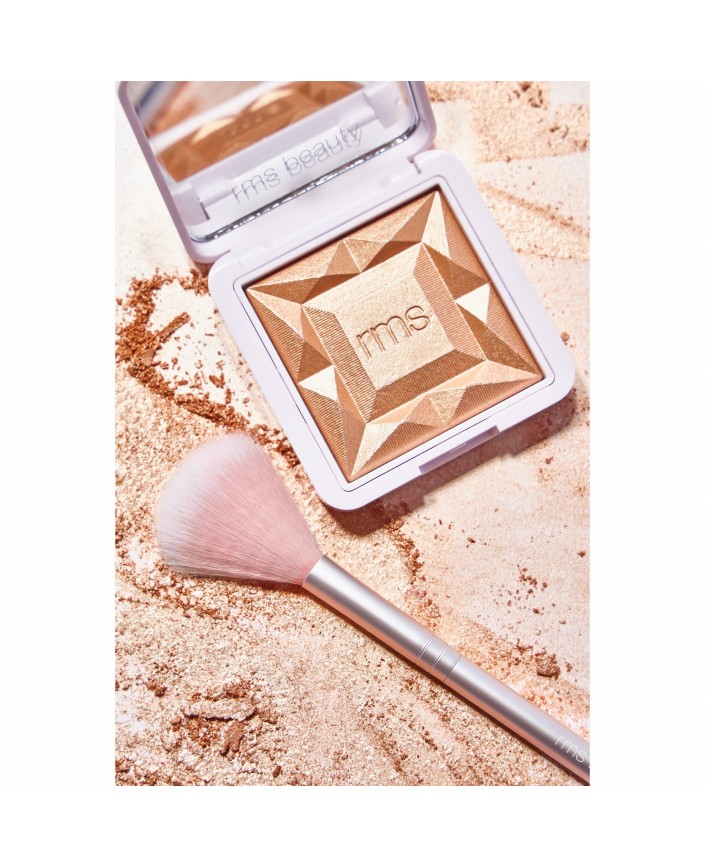 Skin2skin fan brush - Rms beauty 2