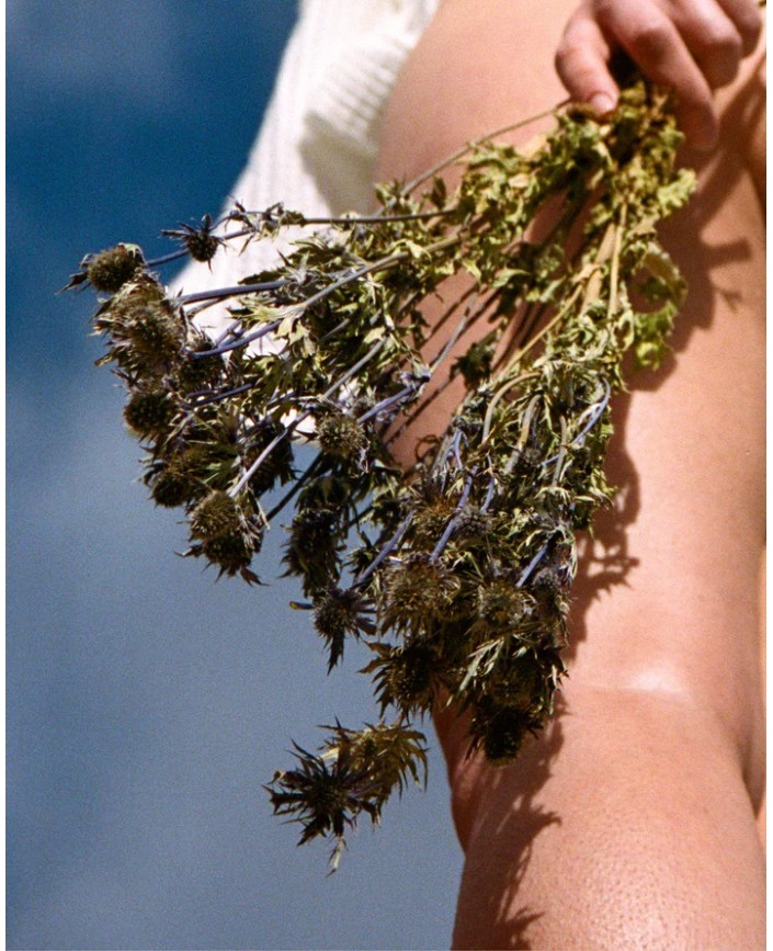 290 serum raffermissant corps - L:a bruket