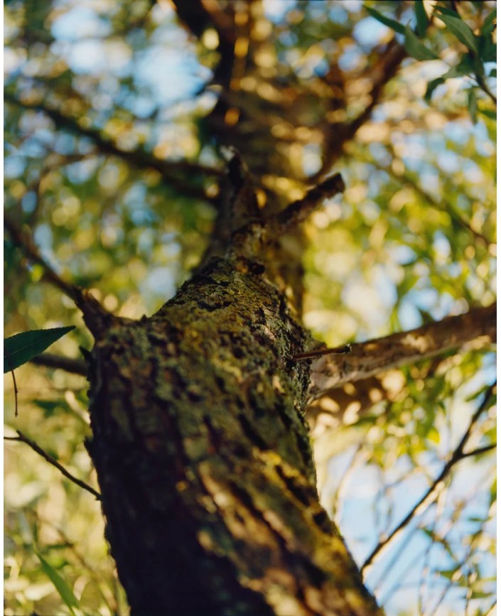 277 gel nettoyant doux - L:a bruket