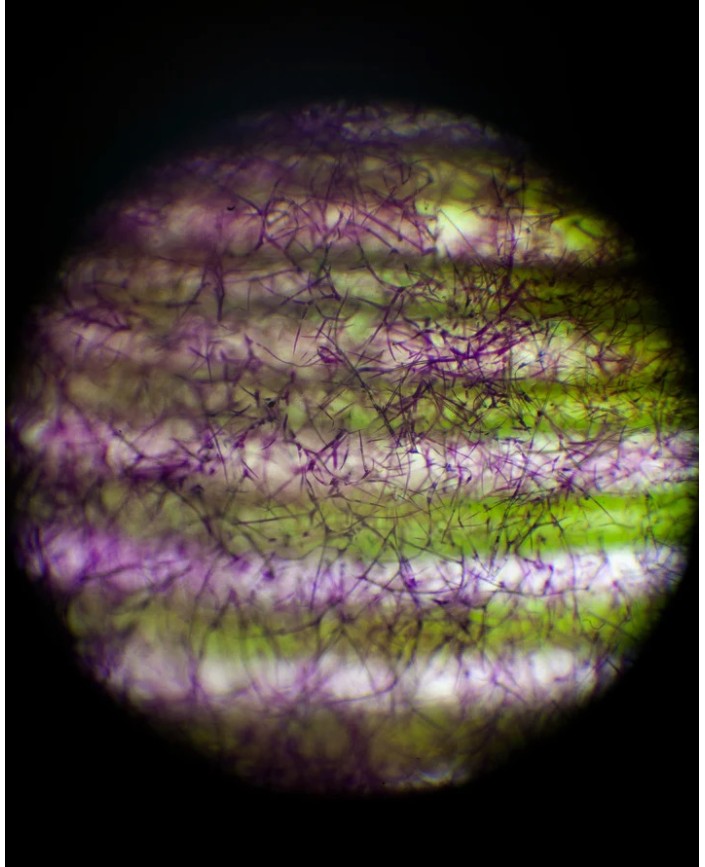 281 fluide protecteur - L:a bruket 2