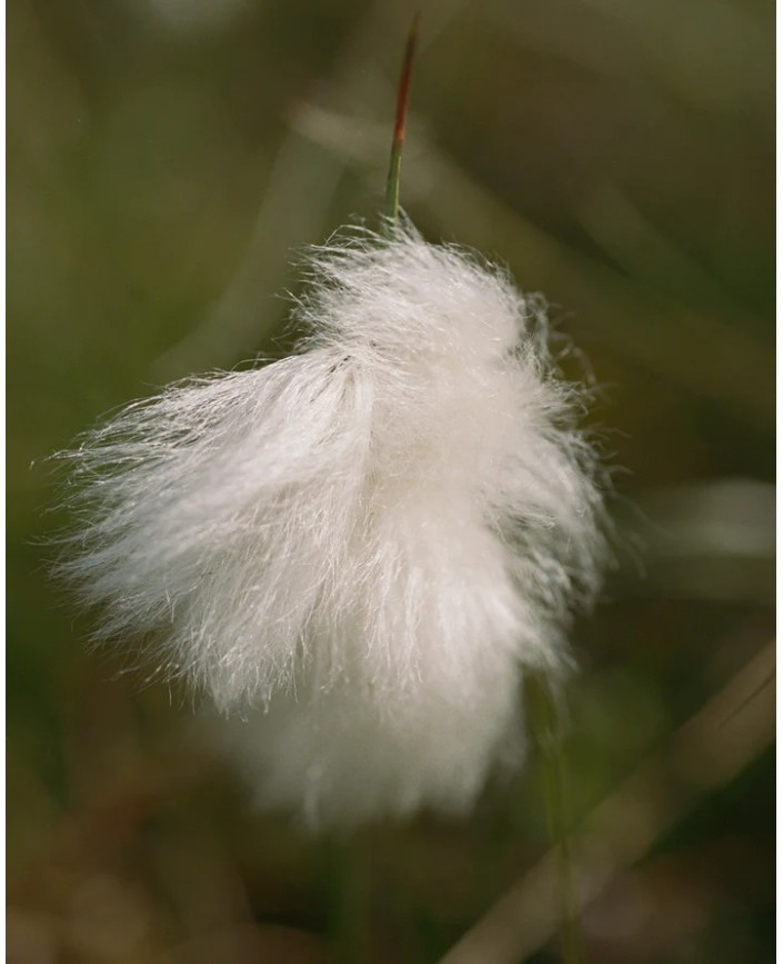280 creme contour des yeux - L:a bruket