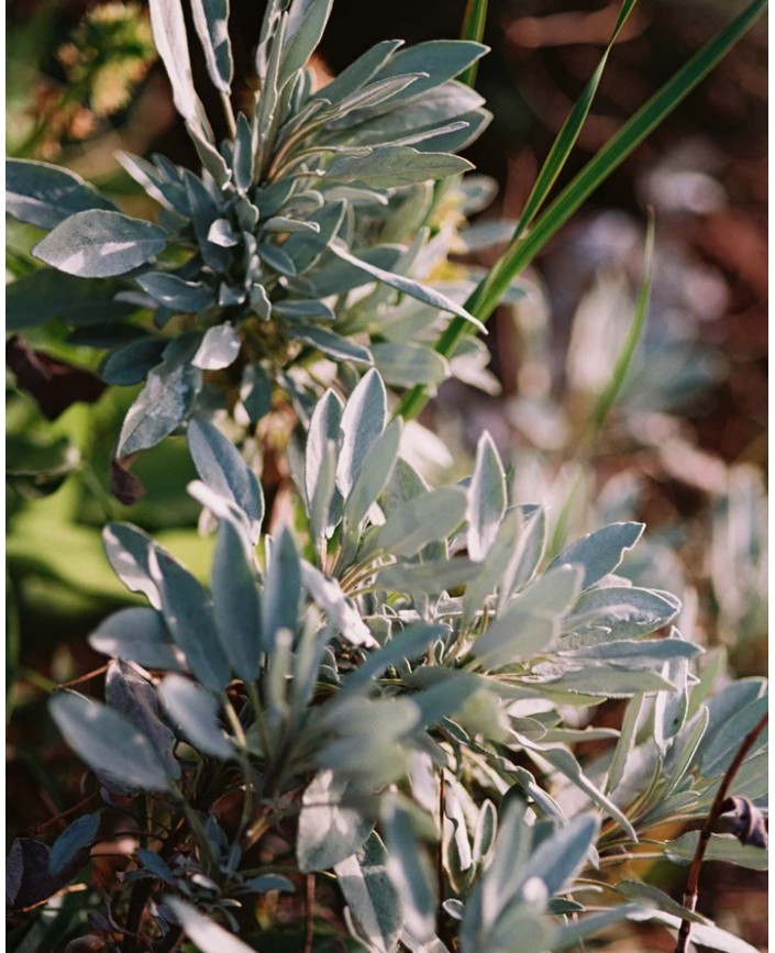 094 nettoyant mains et corps - L:a bruket