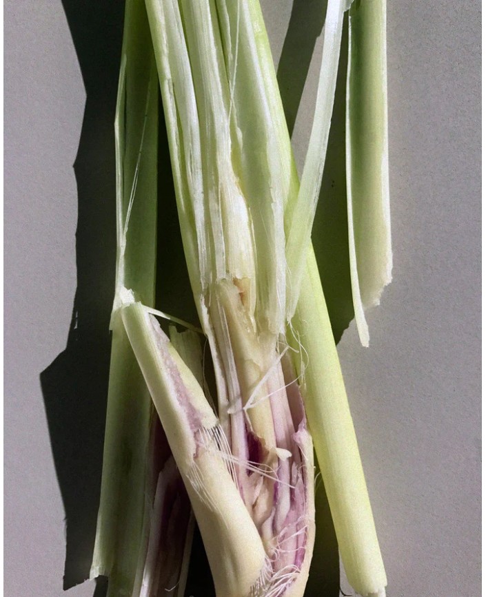 158 lait pour le corps - L:a bruket