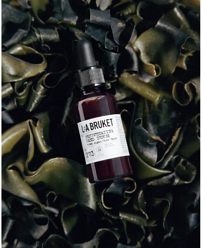 273 serum regenerant main - L:a bruket