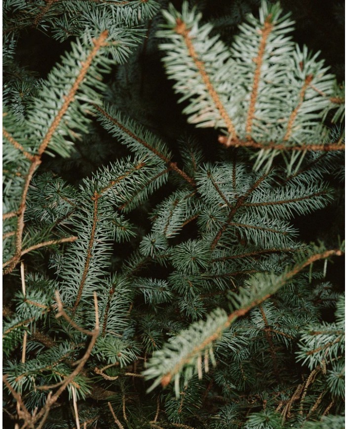 221 creme pour les mains - L:a bruket