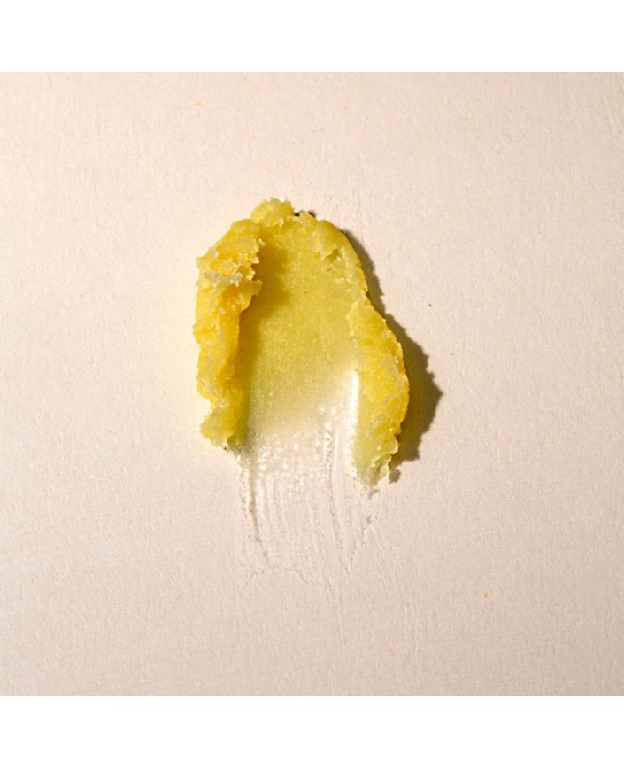 Baume à lèvres nourrissant - Oden