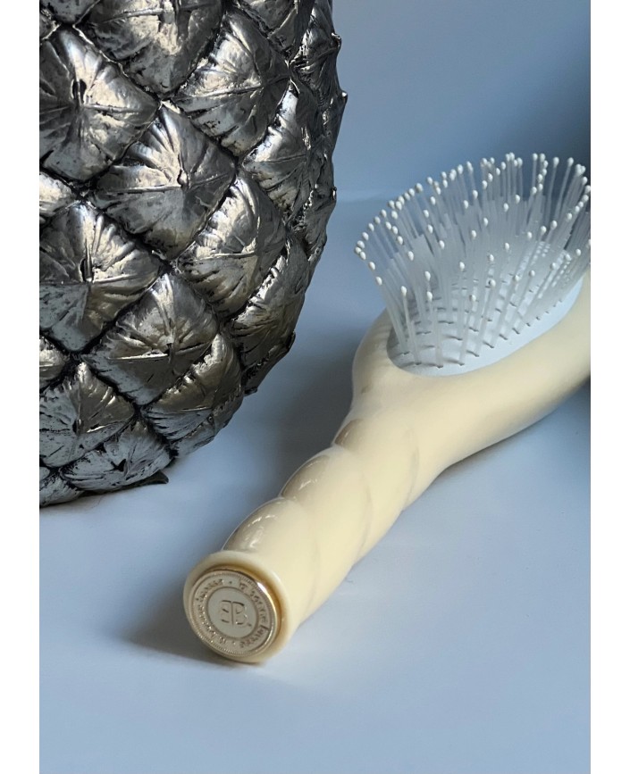 La petite brosse n.04 - La bonne brosse