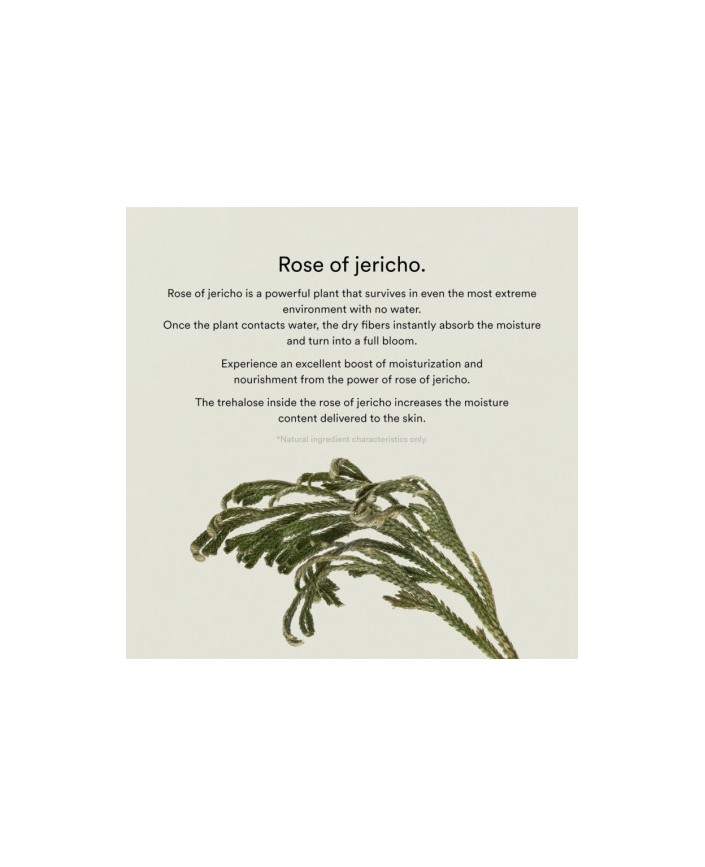 Masque collagen jericho rose - Abib 2