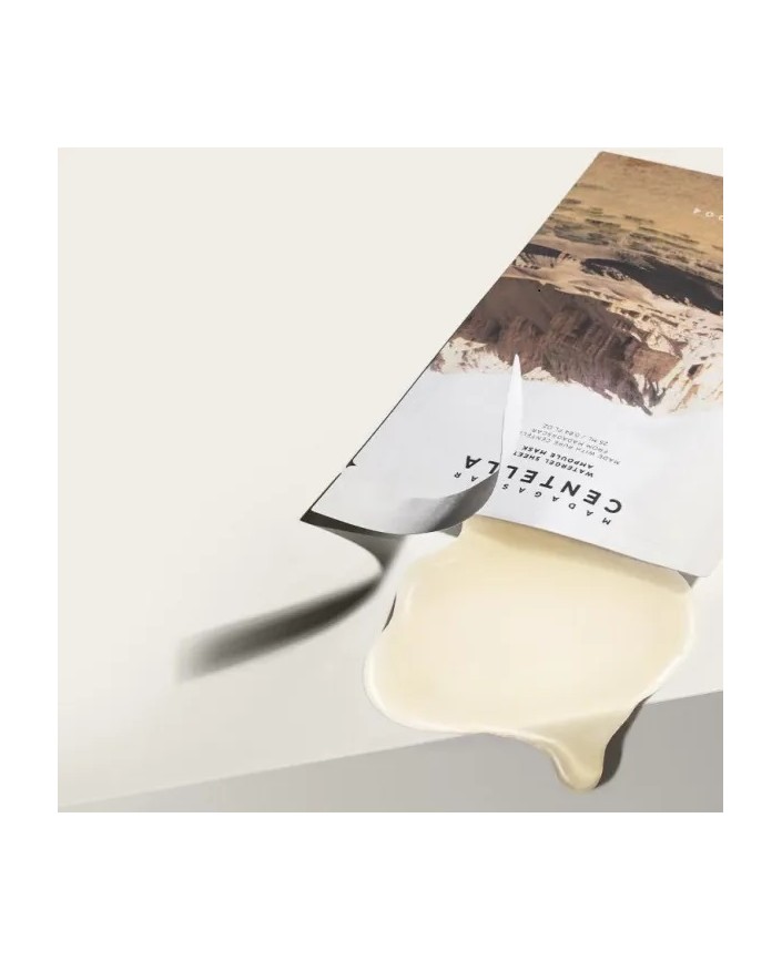 Masque watergel sheet ampoule - Skin 1004 2