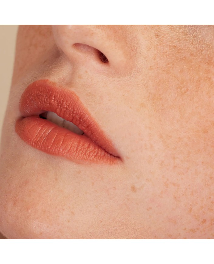 Rouge a levres brique date - Eclo