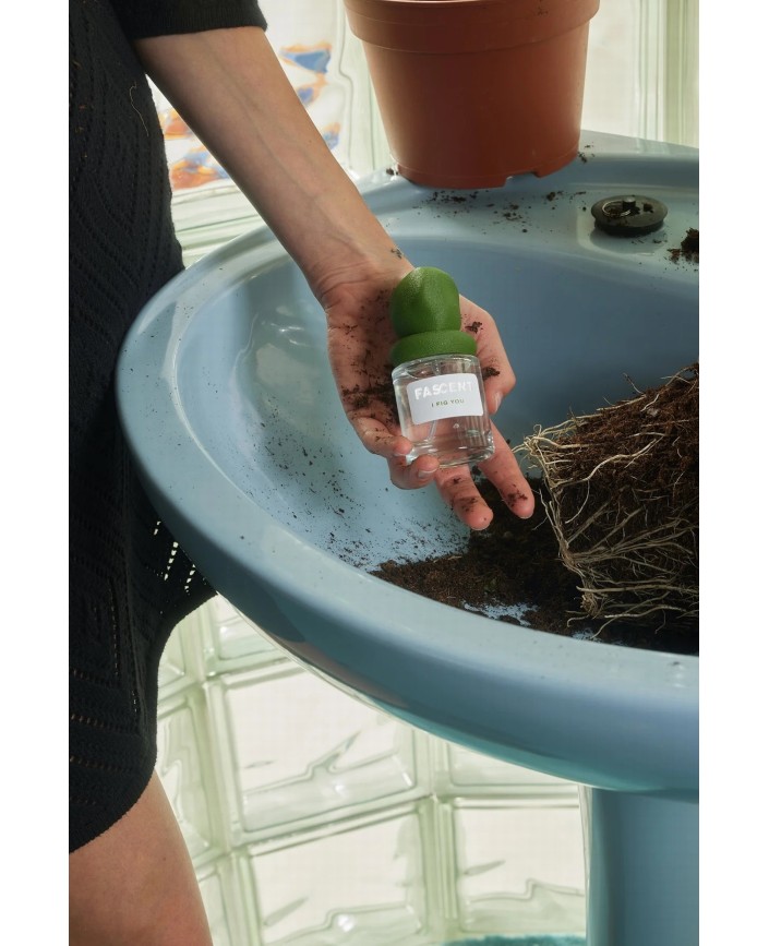 Parfum spray i fig you vetiver - Fascent 2