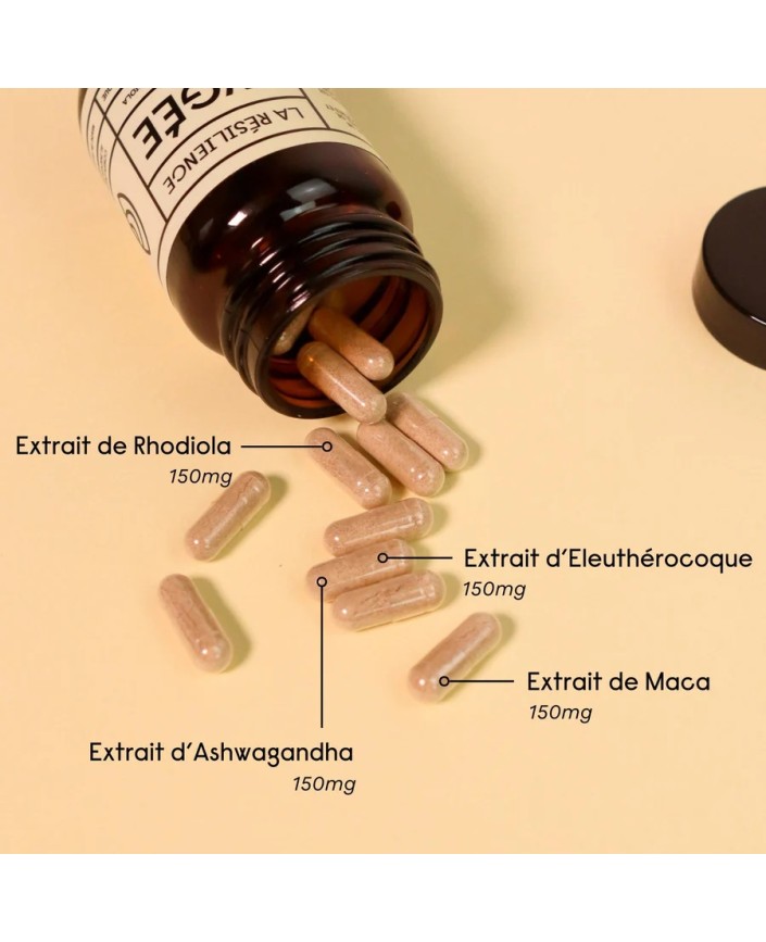 La resilience hygee - Hygee