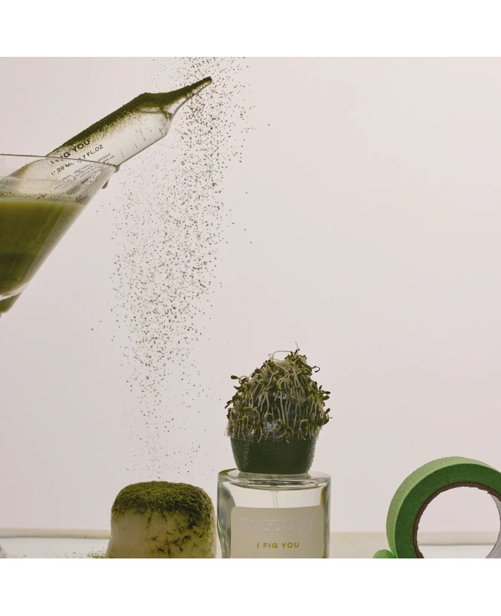 Recharge spray i fig you - Fascent 2