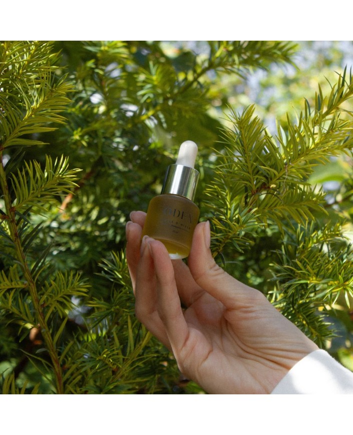 Huile d hiver - Oden